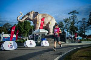 BIB: 
                            <button type="button" onclick="openModal(26541661)" class="btn btn-primary btn-sm float-right btn-popup" data-toggle="modal" data-target=".modal-high-quality">
                        <i class="fas fa-shopping-cart"></i> Add to Cart
                    </button>
                                            <button type="button" onclick="isThisMe(26541661, true)" class="btn btn-success btn-sm float-right btn-popup btn-isme hidden" data-toggle="tooltip" data-placement="bottom" title="นี่คือรูปของคุณใช่ไหม คลิกที่นี่เพื่อเอาเข้าอัลบั้ม">
                        <i class="fas fa-plus"></i> Add to album
                    </button>
                    <button type="button" onclick="isThisMe(26541661, false)" class="btn btn-warning btn-sm float-right btn-popup btn-isnotme hidden">
                        <i class="fas fa-ban"></i> Remove from album
                    </button>